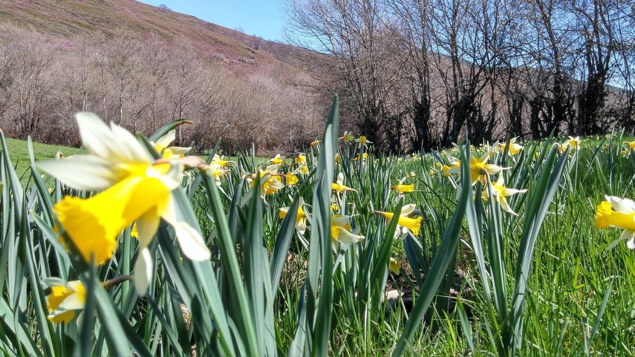 Casa Turismo Rural O Filandon Suertes 外观 照片